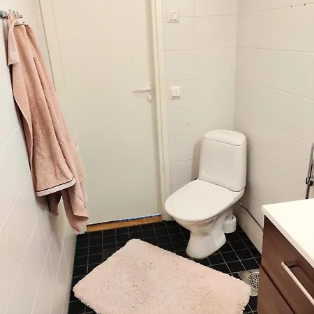 Viihtyisae Yksioe Porissa Apartament Pori