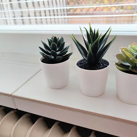 Viihtyisae Yksioe Porissa Apartament Pori