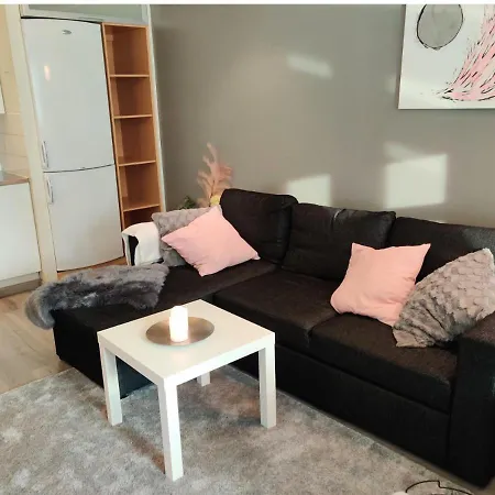 Viihtyisae Yksioe Porissa *